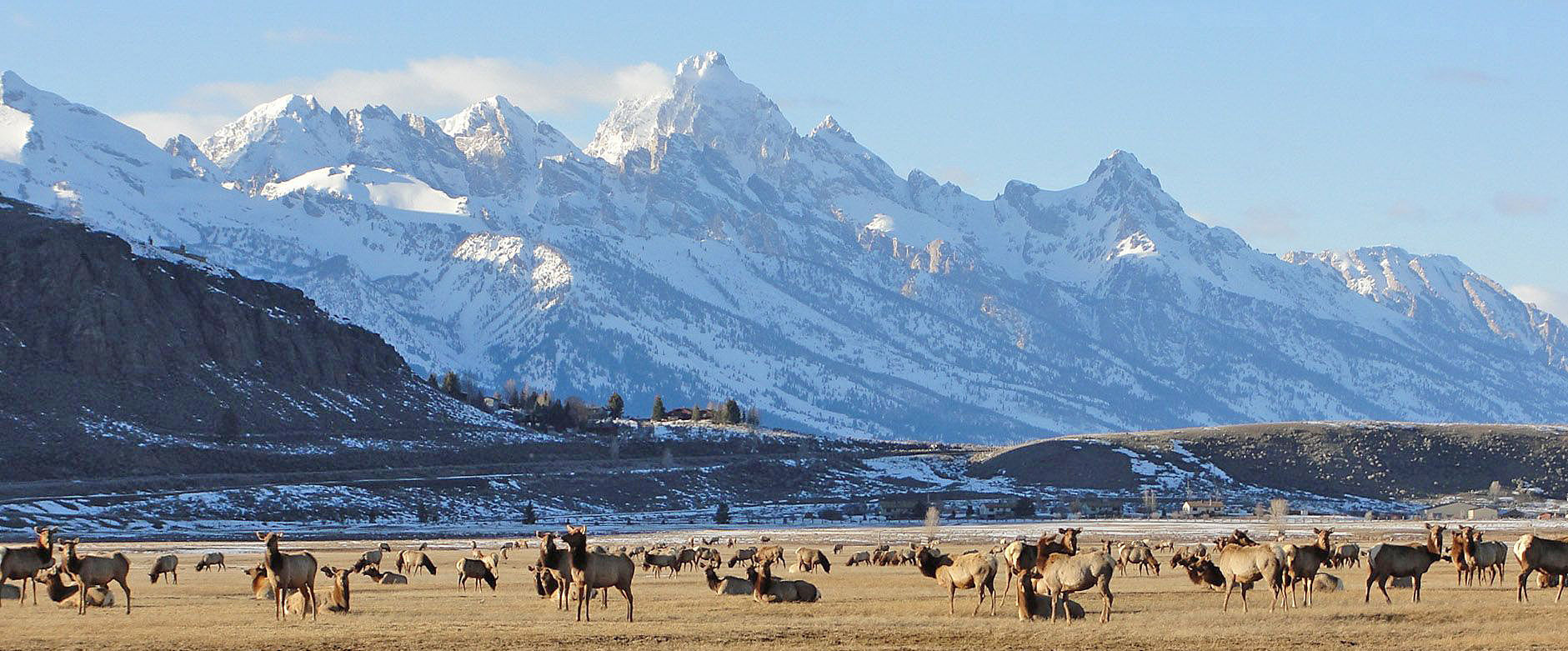 Winter range